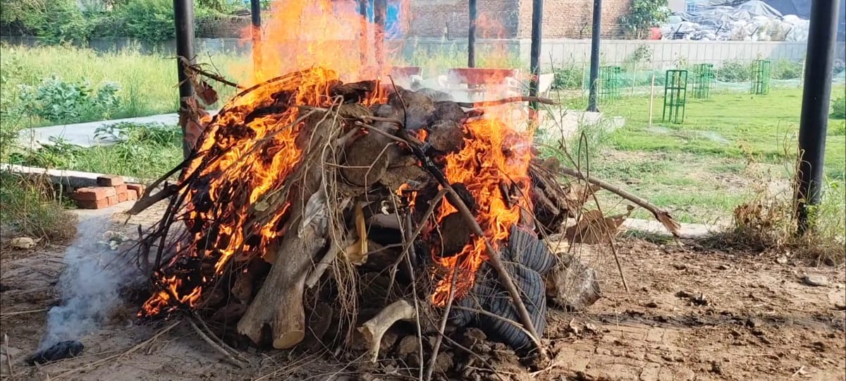 WhatsApp Image 2025-12-03 at 7.50.57 PM (1)